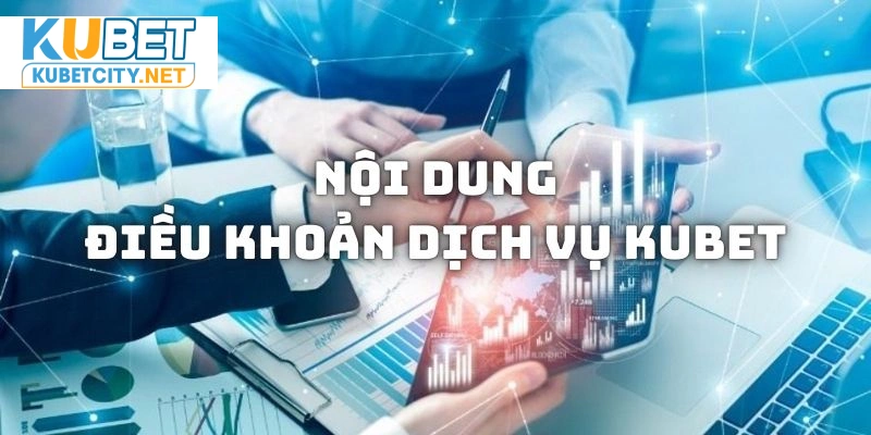 Những nội dung tiêu biểu trong điều khoản hoạt động dịch vụ